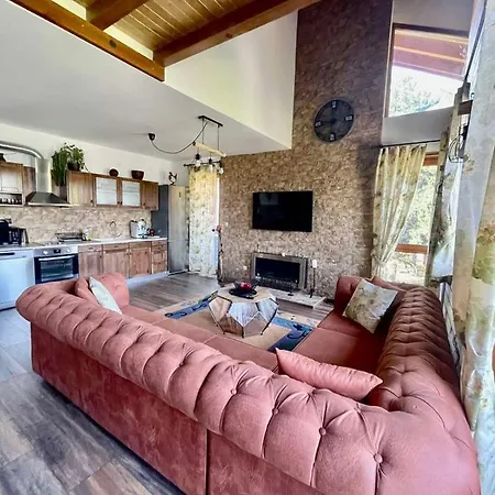 Pirin Golf Penthouse Iliyana 公寓